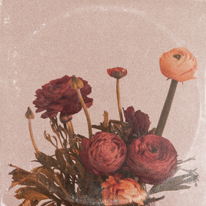 我看俄罗斯女人指令指令
